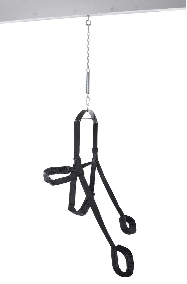 Fantasy Sex Swing