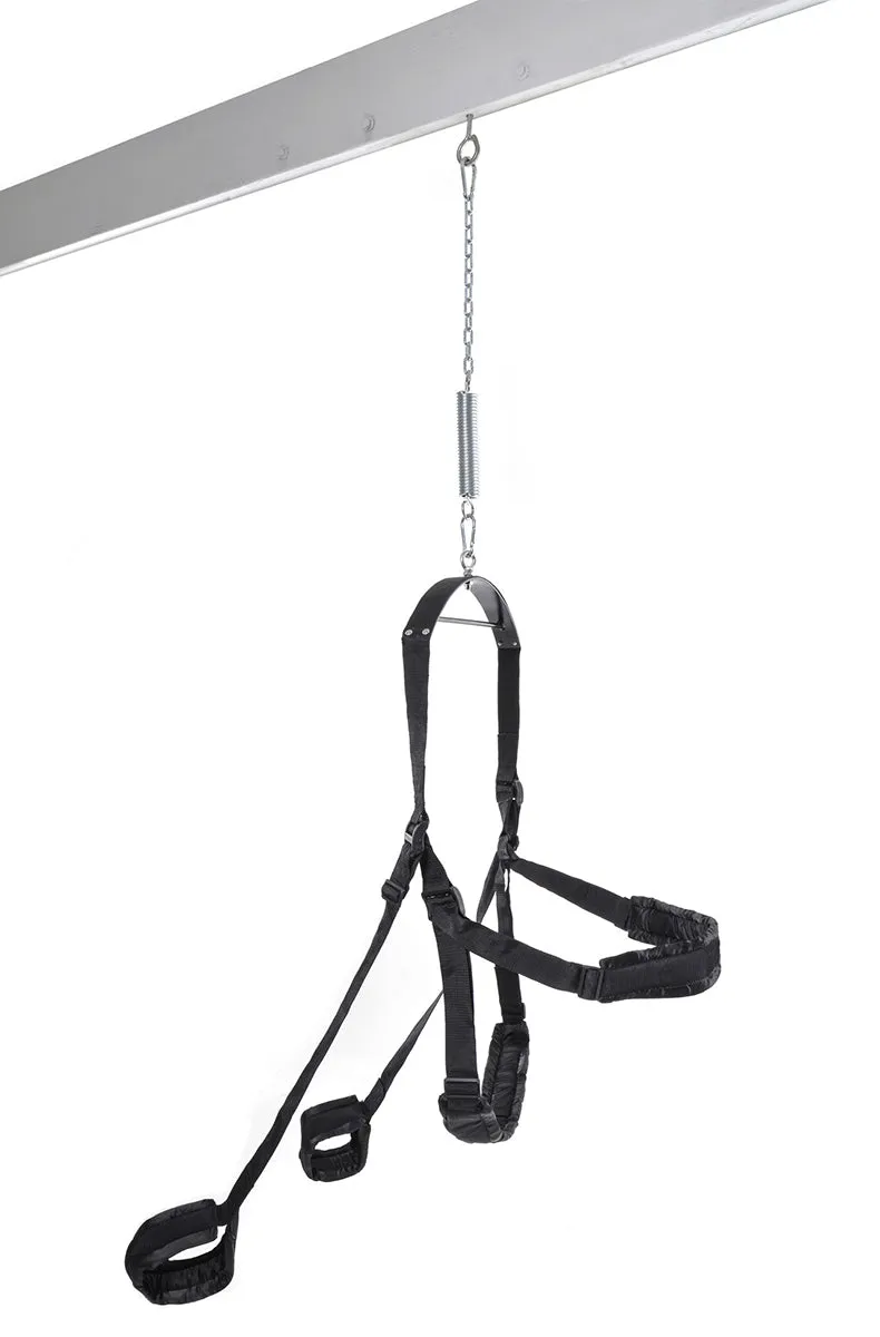 Fantasy Sex Swing