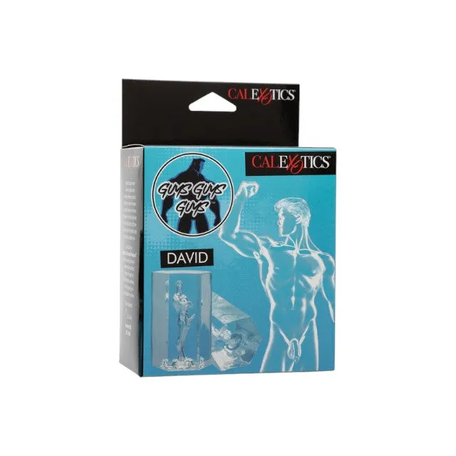 Masturbator manual CALEXOTICS Guys Guys Guys - David. inspirat de statuia lui Michelangelo. lungime 9.5 cm. transparent