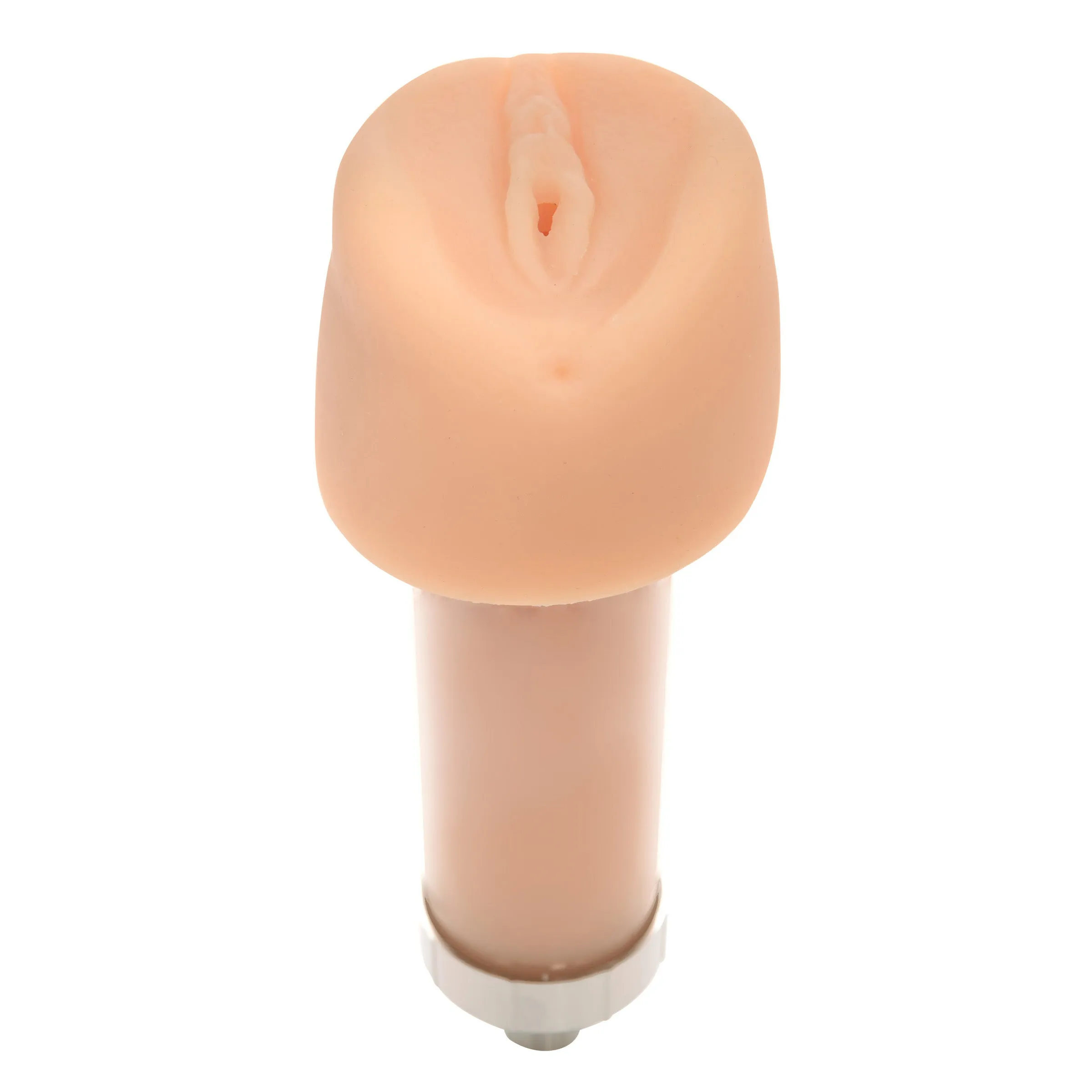 Pandoras Pussy Attachment