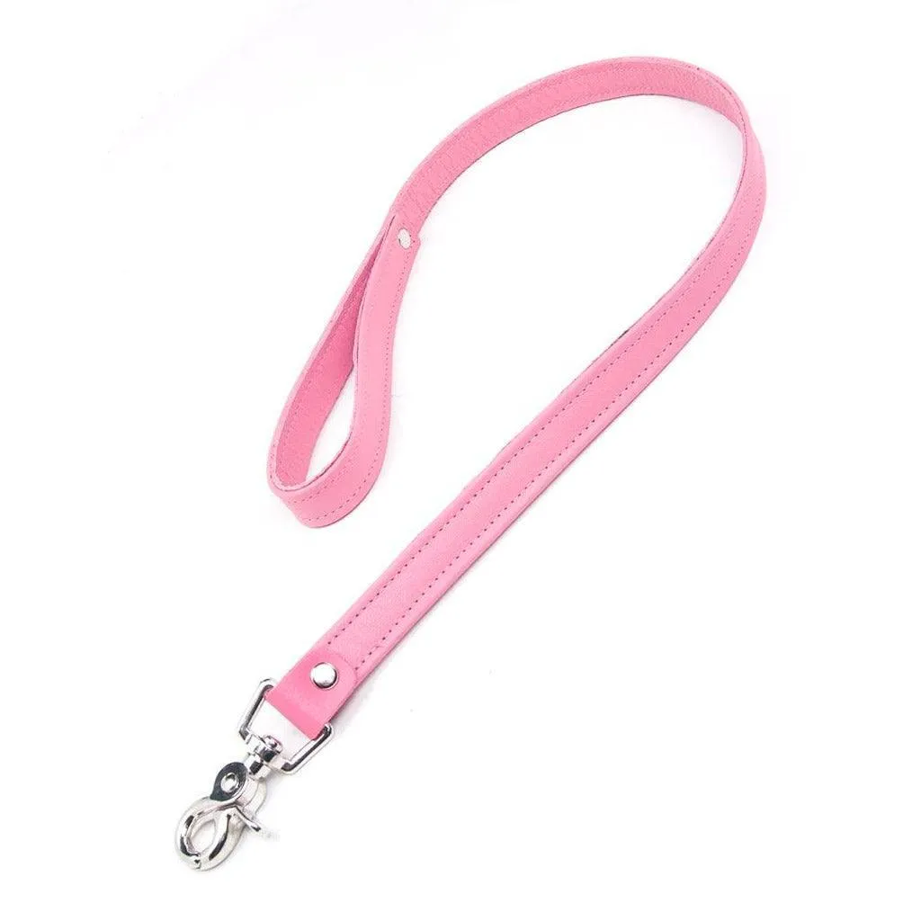 Premium Garment Leather Leash. 2.5'